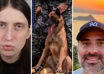 Alerj aprova Medalha Tiradentes para Felca, piloto da Civil morto e cão Hulk; veja lista dos contemplados