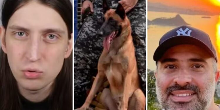 Alerj aprova Medalha Tiradentes para Felca, piloto da Civil morto e cão Hulk; veja lista dos contemplados